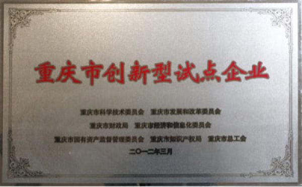 重庆市创新型试点企业