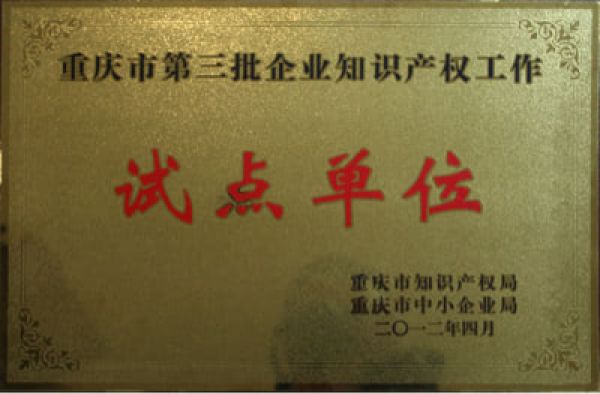 重庆市第三批企业知识产权工作试点单位
